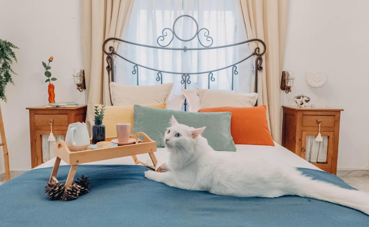 South Nature Rooms Малага Екстериор снимка